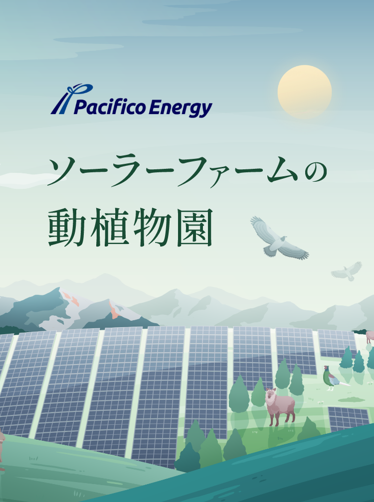 パシフィコ・エナジー 「ソーラーファームの動植物園」