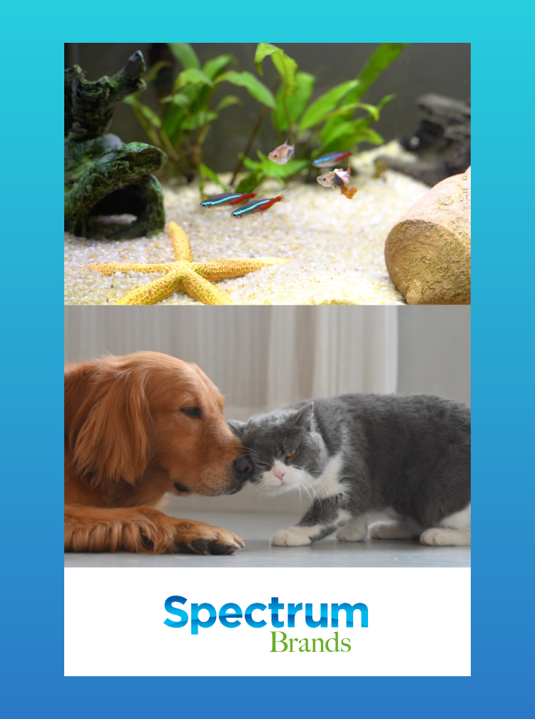 スペクトラムブランズジャパン　コーポレートサイト