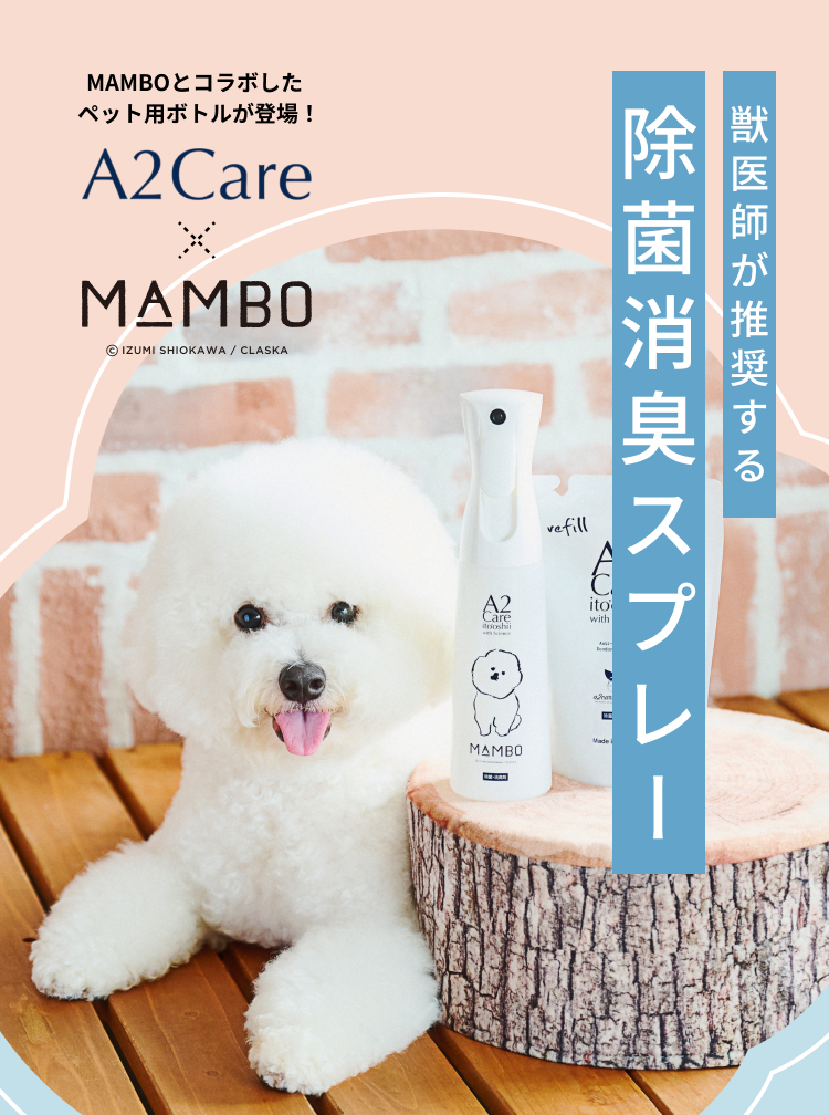 全日空商事「A2Care×MAMBO」