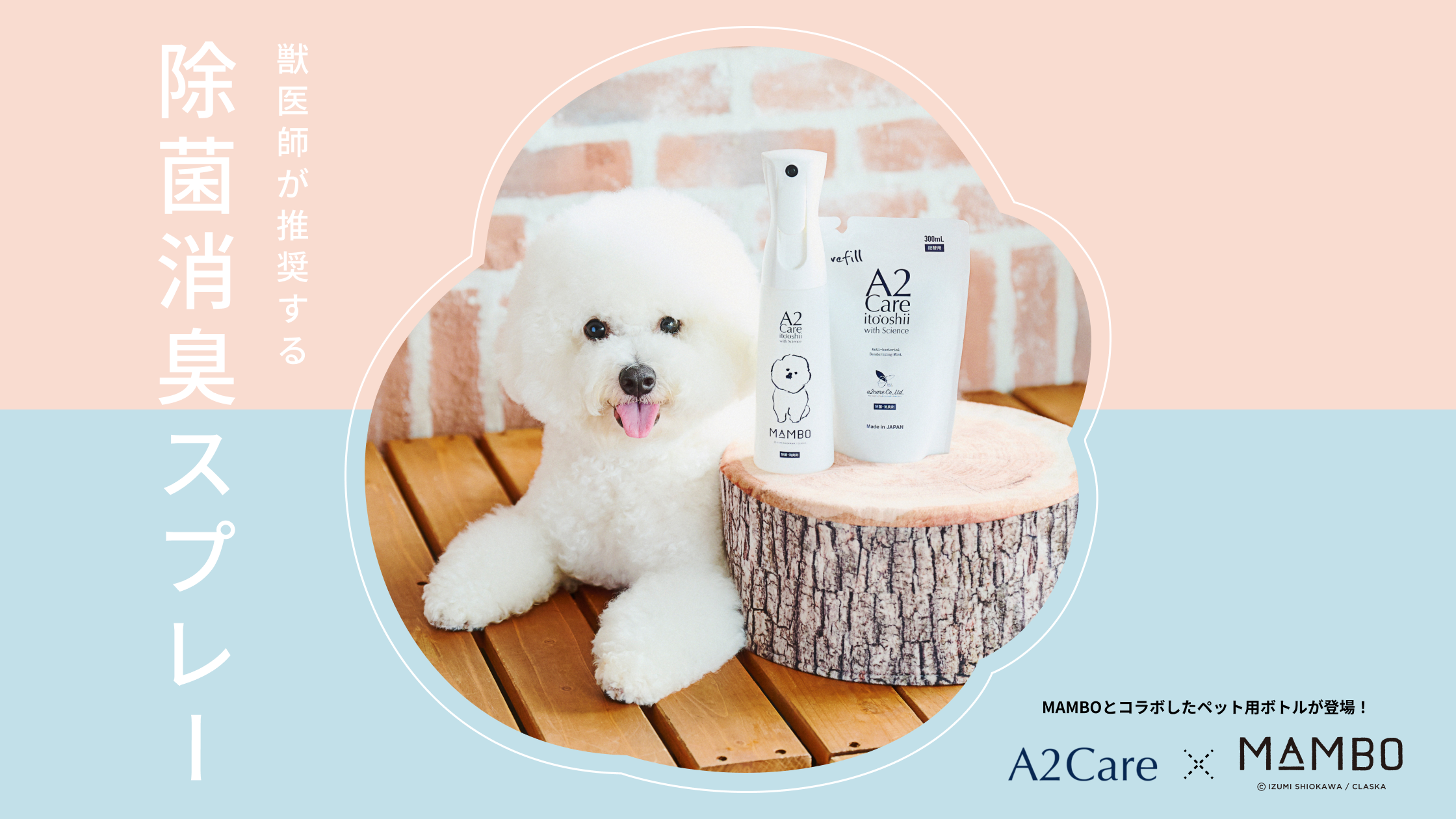 全日空商事「A2Care×MAMBO」